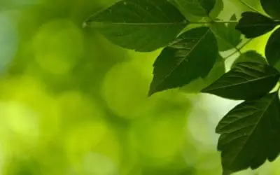 One Thing: Day 631: Simple. Obvious. Genius.