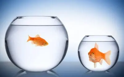 One Thing: Day 698: Envy. Do. Have.