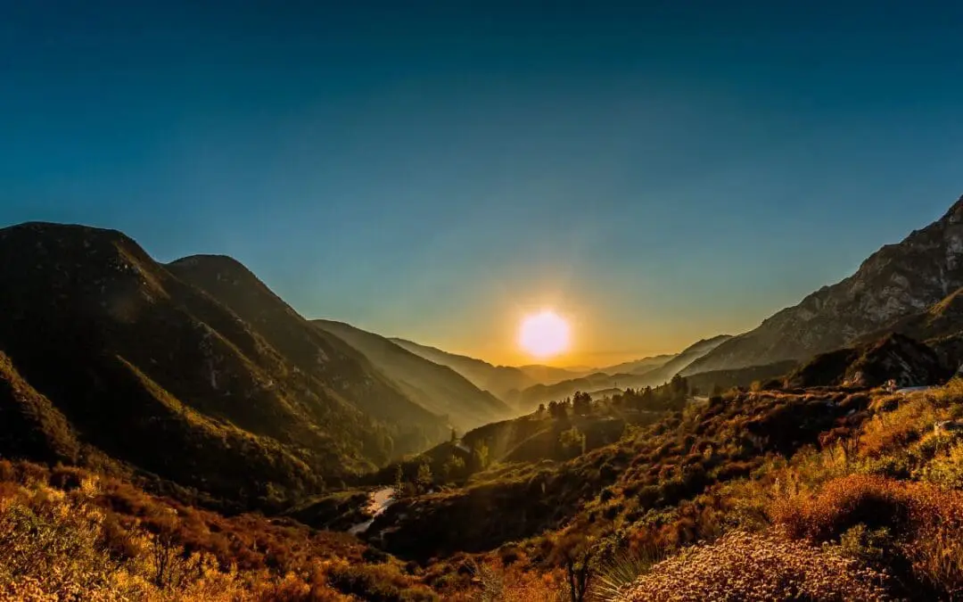 One Thing: Day 728: Status. Fake. Vibe.