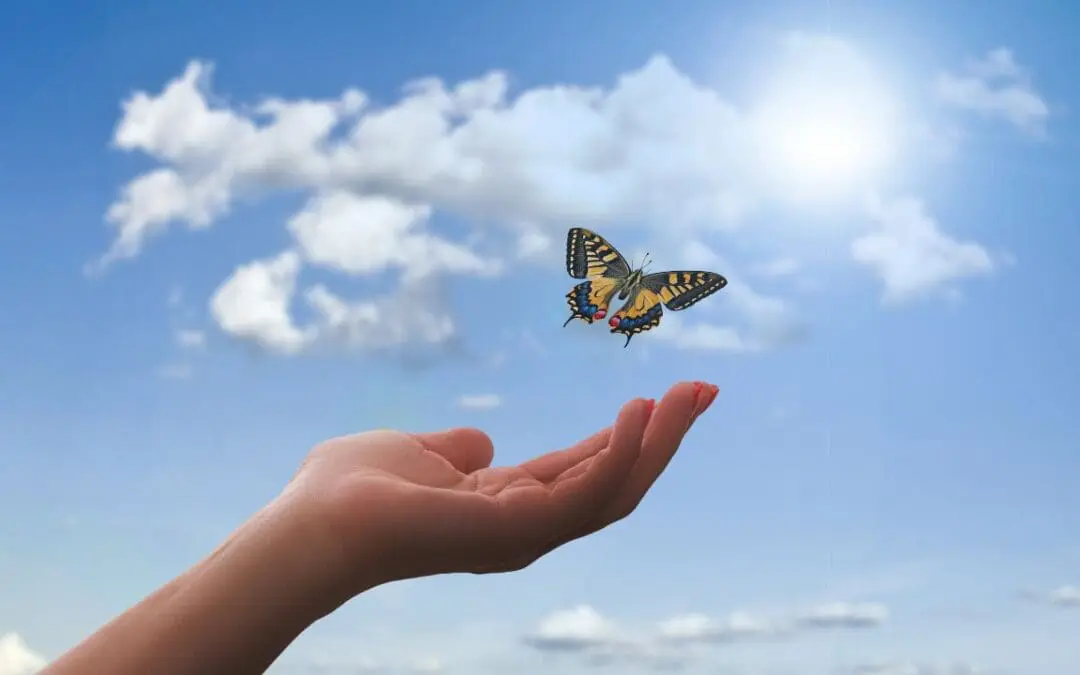 One Thing: Day 740: Location. Health. Lifestyle.