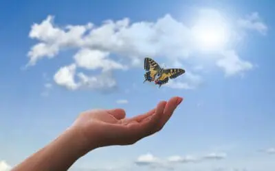 One Thing: Day 740: Location. Health. Lifestyle.