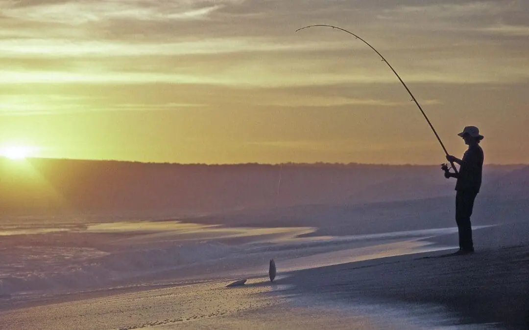 One Thing: Day 783: Bait. Offer. Caribbean.
