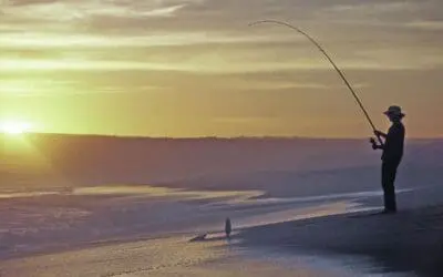 One Thing: Day 783: Bait. Offer. Caribbean.