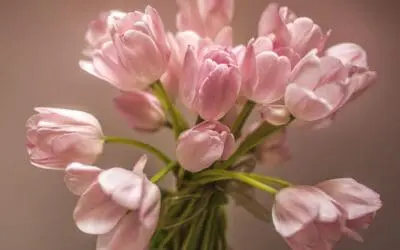 One Thing: Day 819: Fatherly Thoughts on Mother’s Day