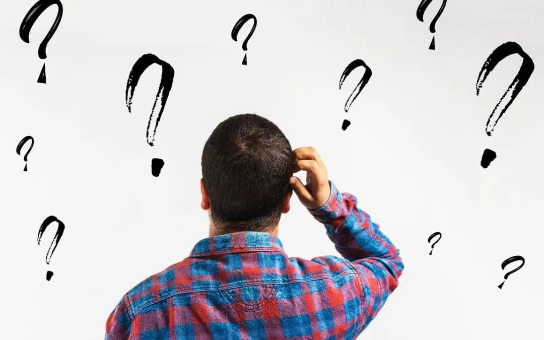 One Thing: Day 876: Where. What. Why.