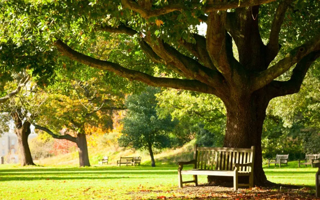 One Thing: Day 180: Ebola, ISIS, Zika and The Apocalypse 