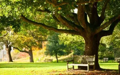 One Thing: Day 180: Ebola, ISIS, Zika and The Apocalypse 